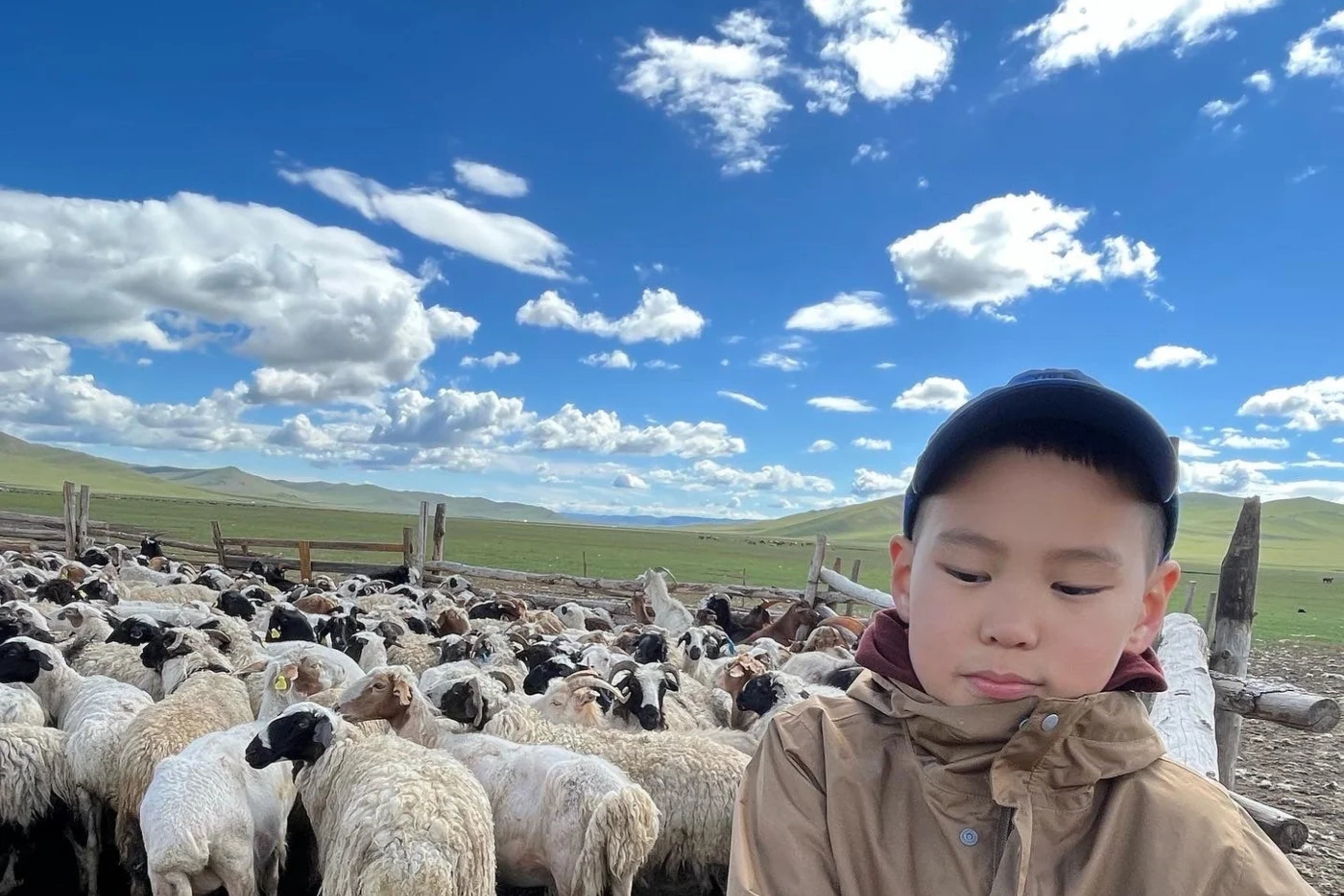 Authenticity of Mongolian Cashmere: Why True Cashmere Is Rare and Not for Fast Fashion